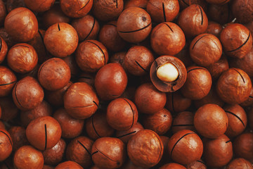 Organic macadamia nut fresh natural fruit shelled one nut in full frame close-up view. Low contrast