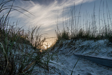 Sand dune at Butler Beach, St Augustine