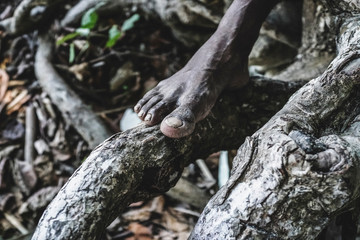 Human foot in nature
