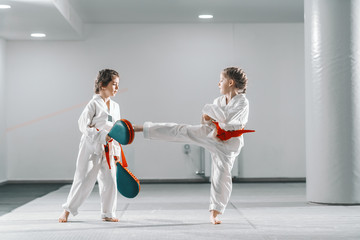 Two young Caucasian girls in doboks having taekwondo training at gym. One girl kicking while other...