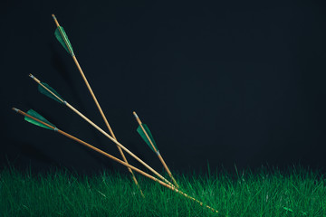 Four wooden arrows in the grass. Beautiful smog background. Medieval weapons handmade.