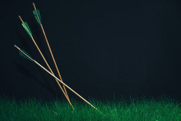 Three wooden arrows in the grass. Beautiful smog background. Medieval weapons handmade.