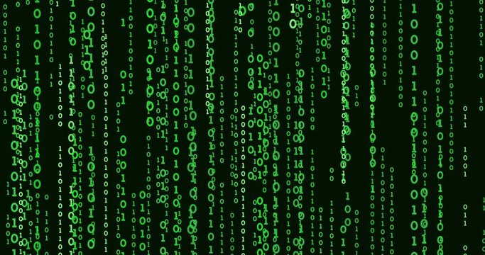 The green matrix on a black background