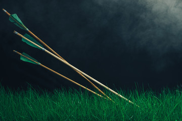 Three wooden arrows in the grass. Beautiful smog background. Medieval weapons handmade.