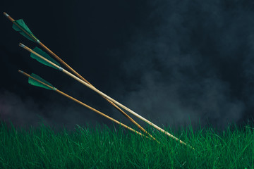 Three wooden arrows in the grass. Beautiful smog background. Medieval weapons handmade.