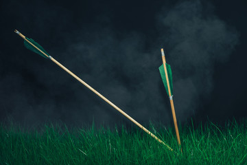 Two wooden arrows in the grass. Beautiful smog background. Medieval weapons handmade.