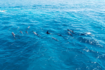 Naklejka premium Hurghada Egypt