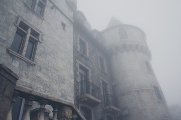 Fototapeta premium castle in the mist