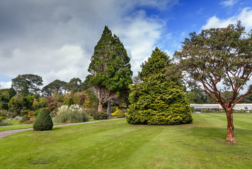 Fototapeta na wymiar Muckross Garden, Ireland