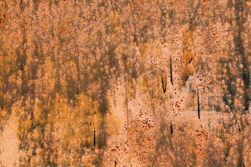 Grunge rusted metal texture. Rusty corrosion and oxidized background. Worn metallic iron panel.
