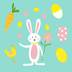 Cute Easter Bunny, Flowers, Carrots and Chicken