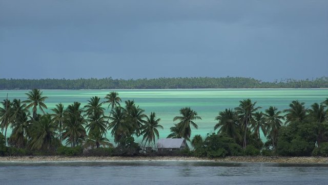 Palm trees and coastline of the atoll at Tabuaeran, Fanning Island, Kiribati