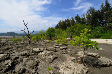 Andaman and Nicobar Island, India