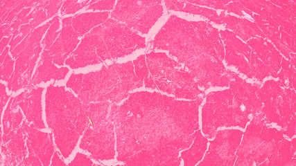 Bright abstract background. Rough texture. Мелкие детали. Primary colors - Cotton Candy, Wild Strawberry