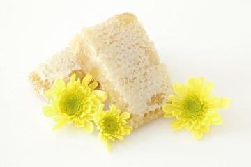 Honeycomb, yellow marguerites