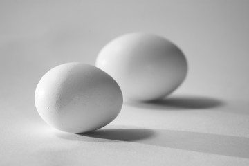 eggs on a white background with shadows