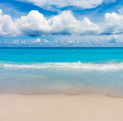 Fototapeta na wymiar Tropical Sunny Sea Beach Background