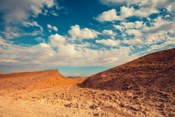 Fototapeta na wymiar Makhtesh Ramon Crater in National park in Negev desert, Israel