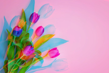 A bouquet of beautiful purple tulips with green leaves on a pastel pink background. Romantic greeting card with copy space and glitch effect.
