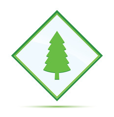 Evergreen conifer pine tree icon modern abstract green diamond button