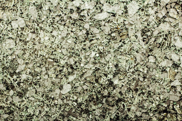 Broken glass shards on a gray background. Background of broken glass fragments. View from above.