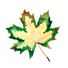 Watercolor autumn leaf. Fall foliage. Autumnal design. Seasonal decorative beautiful multi-colored...