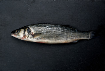 fresh whole sea bass fish on black background