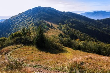 Spine in the mountains