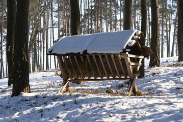 SONY DSC © bernhardpalt