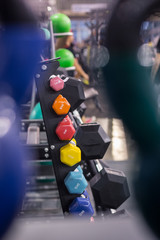 Various weight and color one hand dumbbells placed on shelf in gym