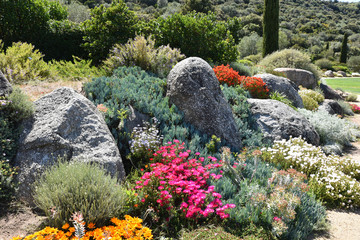 Jardin méditerranéen au printemps en Corse