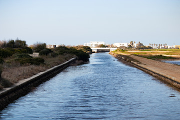  landscape on the lake