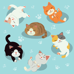 A group of cute cat. sleepy cat. cat relaxing. relaxtime.