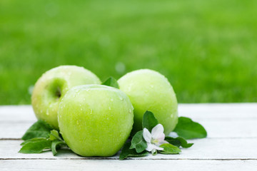 Fresh garden apples