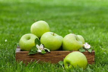 Fresh garden apples in box