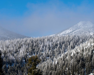 Snowy mountains