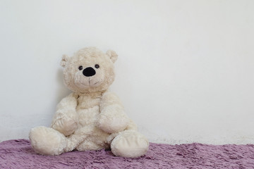 Closeup bear doll sit on purple carpet on white cement wall textured background with copy space