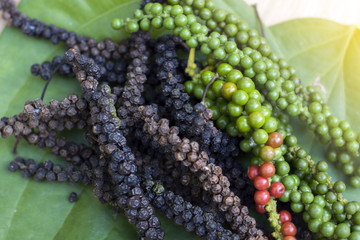  Close-up of fresh green pepper,ripe,black and leaf on wood floor.