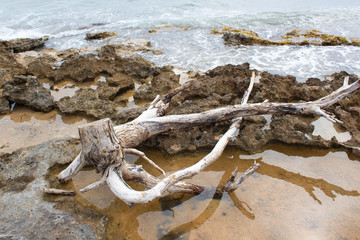 views of the Salento sea