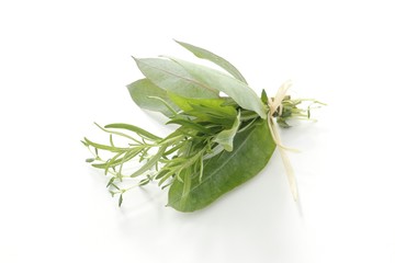 Herbs (rosemary, thyme) with eucalyptus