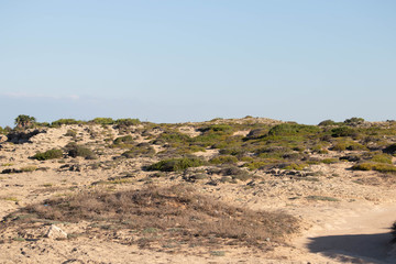 views of the sea of ​​Torre Suda