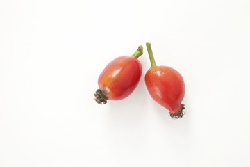 Wild rose fruit