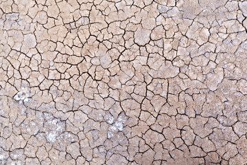 Gray dry soil or cracked ground texture background. Takyr