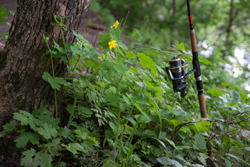 Fishing spinning rivercoast grass