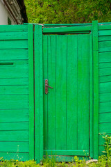 Old green entrance door from wooden planks