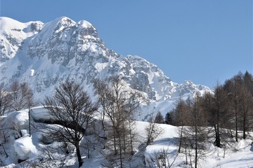 Mountains in winter