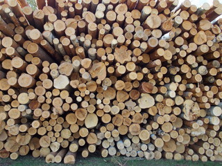 logging in the field in the Urals