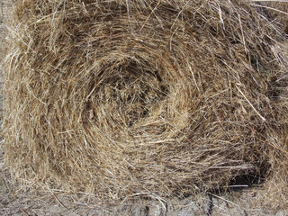 The bale of hay. Food for animals