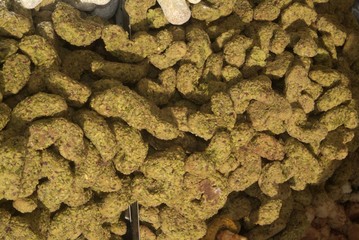 Traditional Piedmont cookies with nuts