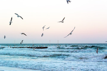 Seagulls fly over the sea waves near the pier on the eve of the evening storm